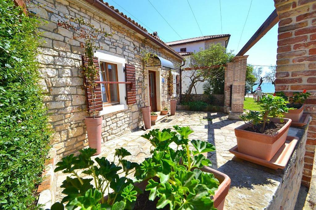 Villa Giardin Novigrad  ภายนอก รูปภาพ